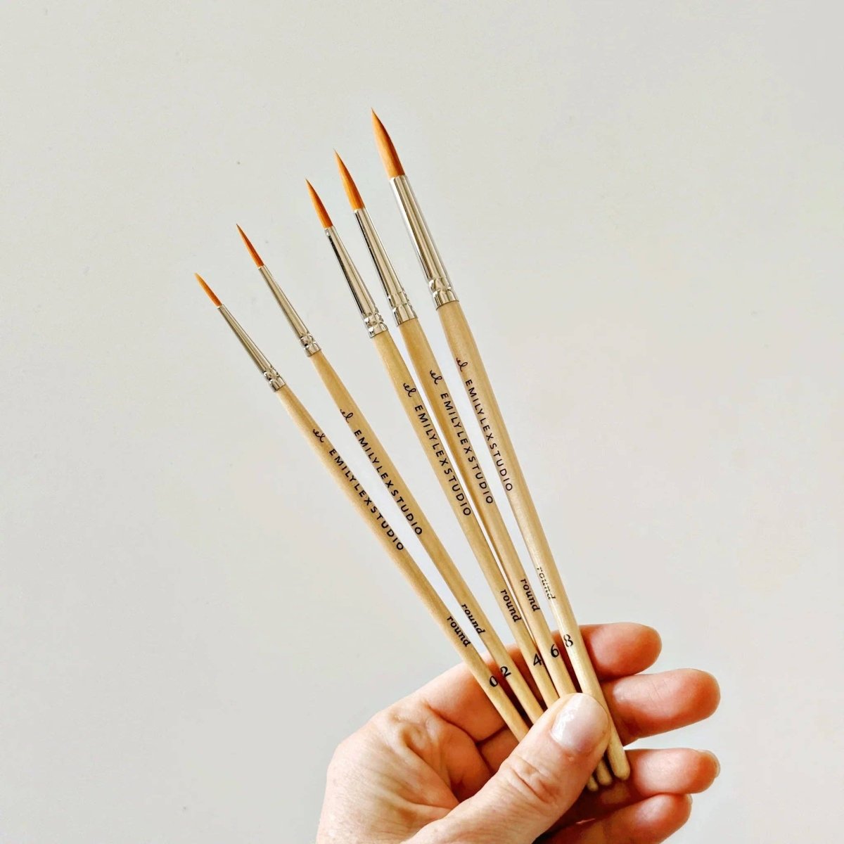 emily lex studio - Watercolor paintbrush set of five wood brushes - The Merri Artist - merriartist.com
