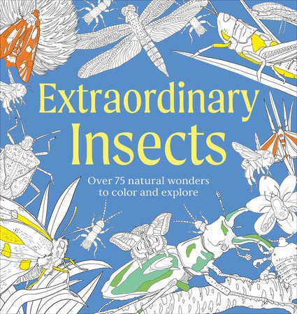 Extraordinary Insects Coloring Book - The Merri Artist - merriartist.com