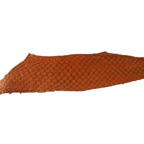 Fish Leather - Glossy Citrus - Approx 9" X 2.5" - The Merri Artist - merriartist.com
