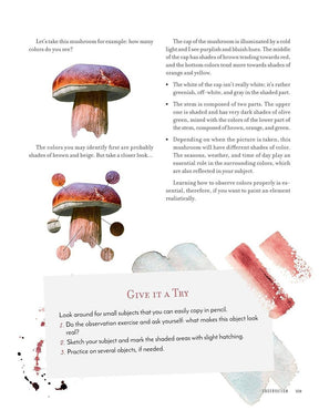 Fox Chapel Publishing - Discovering Watercolor - 32 Skill Building Projects - The Merri Artist - merriartist.com