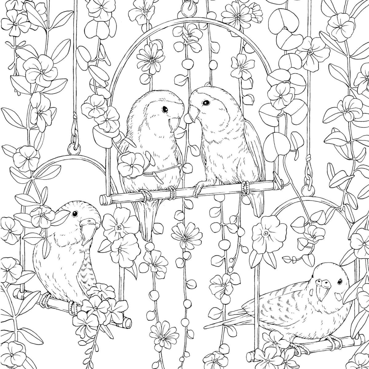 Fox Chapel Publishing - Symphony of Cute Animals - A Curious Coloring Book Adventure - The Merri Artist - merriartist.com