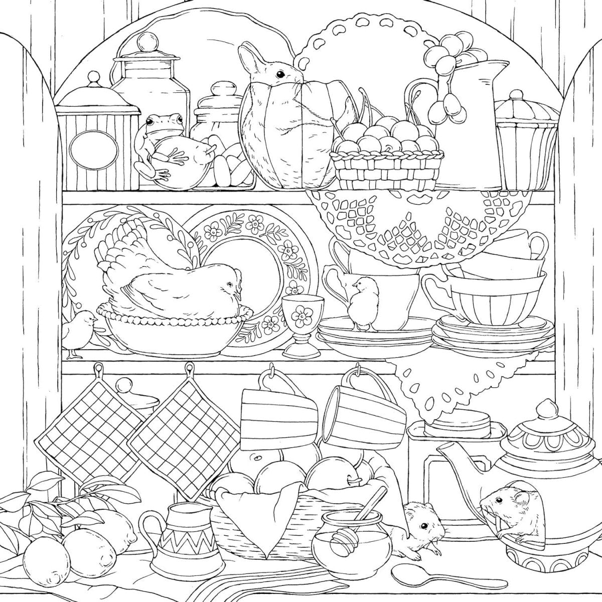 Fox Chapel Publishing - Symphony of Cute Animals - A Curious Coloring Book Adventure - The Merri Artist - merriartist.com