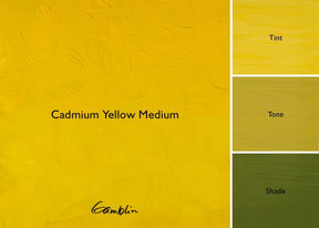 Gamblin 1980 Oil Color - 150ml - Cadmium Yellow Medium - The Merri Artist - merriartist.com