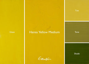 Gamblin 1980 Oil Color - 150ml - Hansa Yellow Medium - The Merri Artist - merriartist.com