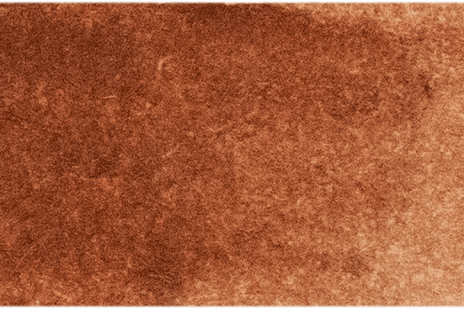 Michael Harding Artists Watercolor 15ml - Burnt Sienna - The Merri Artist - merriartist.com
