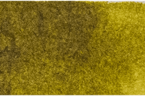 Michael Harding Artists Watercolor 15ml - W237 Green Gold - The Merri Artist - merriartist.com