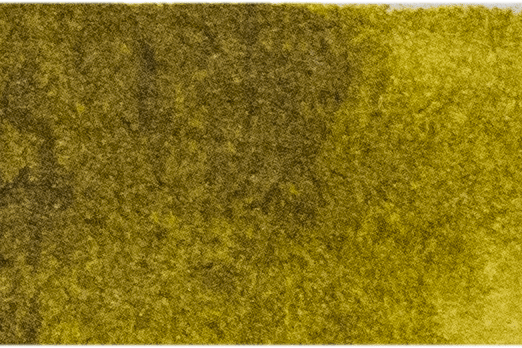 Michael Harding Artists Watercolor 15ml - W237 Green Gold - The Merri Artist - merriartist.com