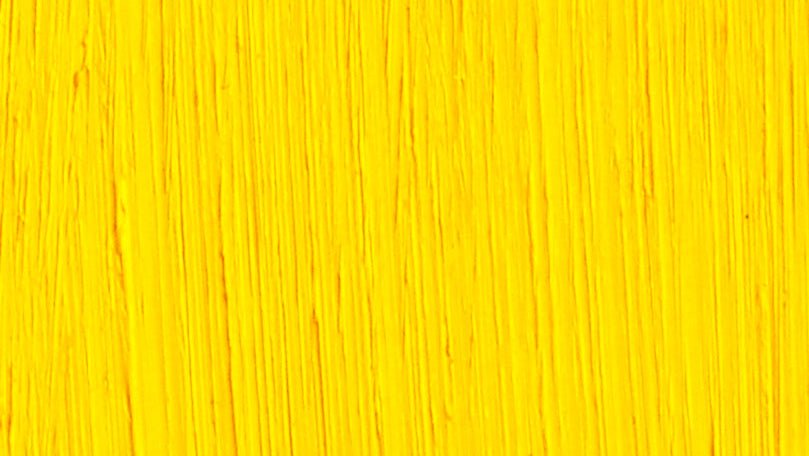 Michael Harding Oil Paint - 402 Cadmium Yellow 40ml - The Merri Artist - merriartist.com