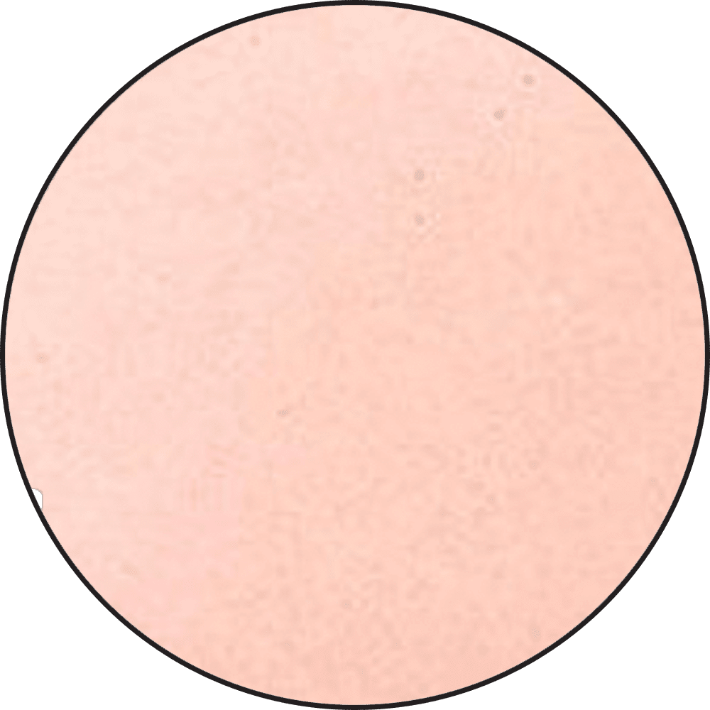 Ranger Embossing Powder 0.5 oz (14 gram) Blush Pearl - The Merri Artist - merriartist.com