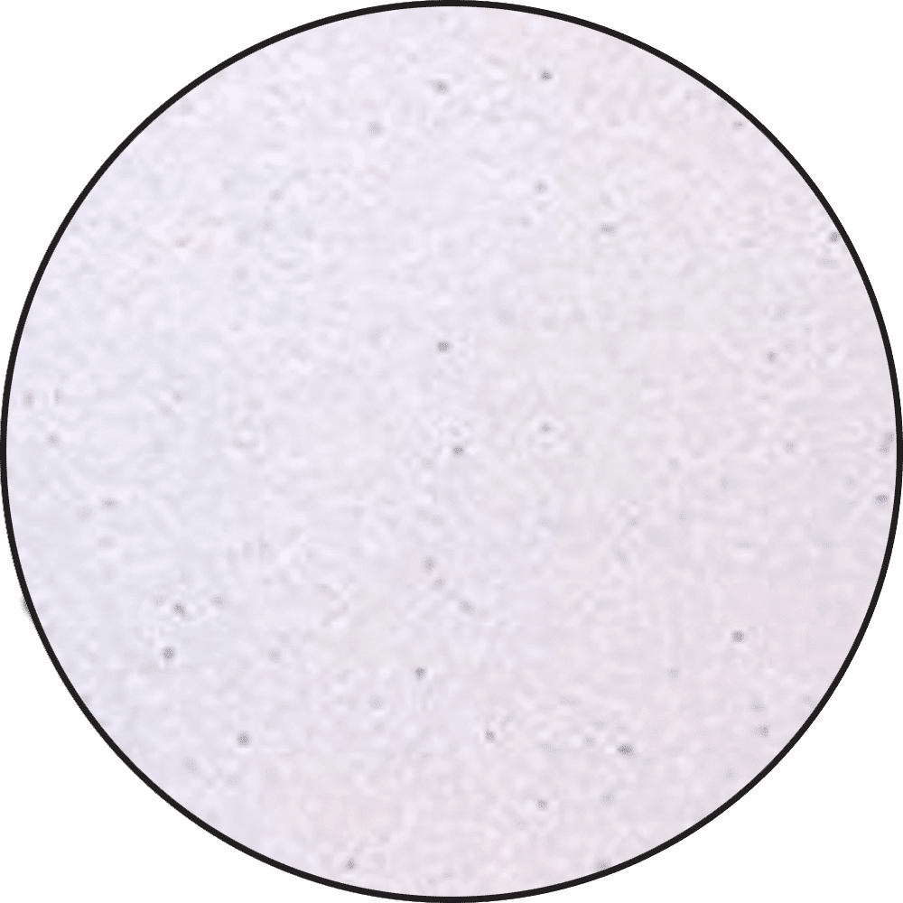 Ranger Embossing Powder 0.5 oz (14 gram) Lilac Pearl - The Merri Artist - merriartist.com