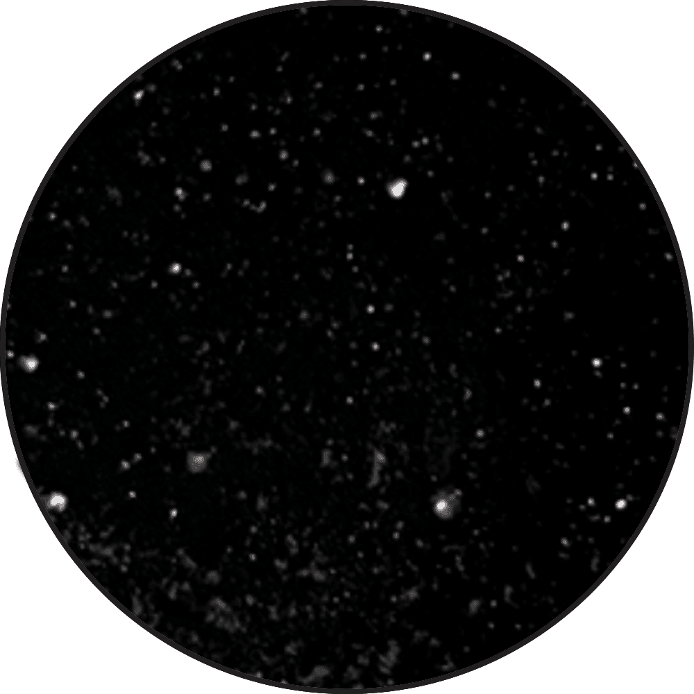 Ranger Embossing Powder 0.56 oz (16 gram) Super Fine Detail Black - The Merri Artist - merriartist.com