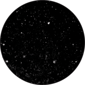 Ranger Embossing Powder 0.56 oz (16 gram) Super Fine Detail Black - The Merri Artist - merriartist.com