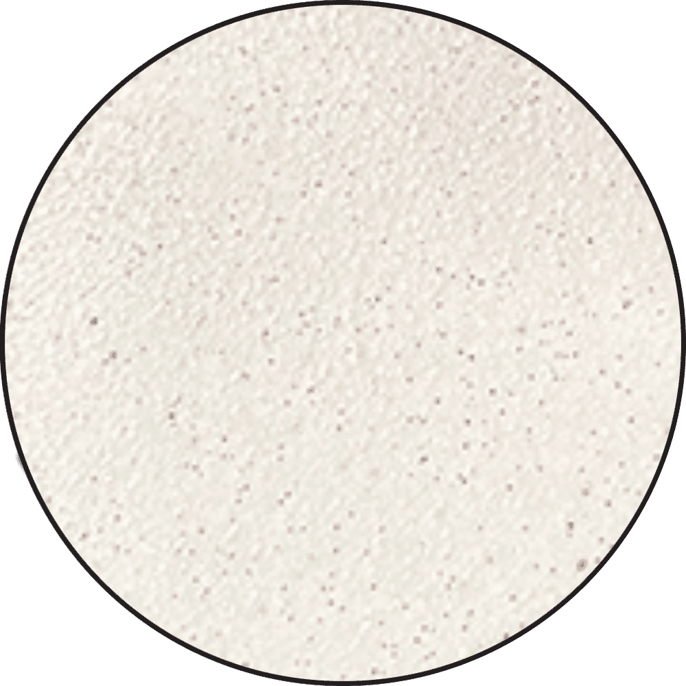 Ranger Embossing Powder 0.6 oz (17 gram) Bridal Tinsel - The Merri Artist - merriartist.com