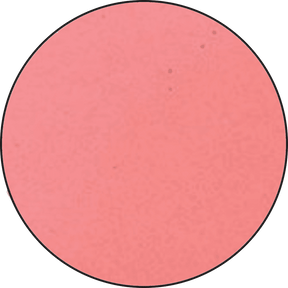 Ranger Embossing Powder 0.63 oz (18 gram) Pink - The Merri Artist - merriartist.com