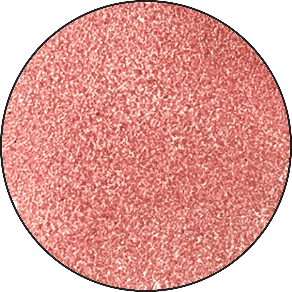 Ranger Embossing Powder 0.7 oz (20 gram) Rose Quartz - The Merri Artist - merriartist.com