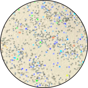 Ranger Embossing Powder 0.74 oz (21 gram) Snowflake Tinsel - The Merri Artist - merriartist.com