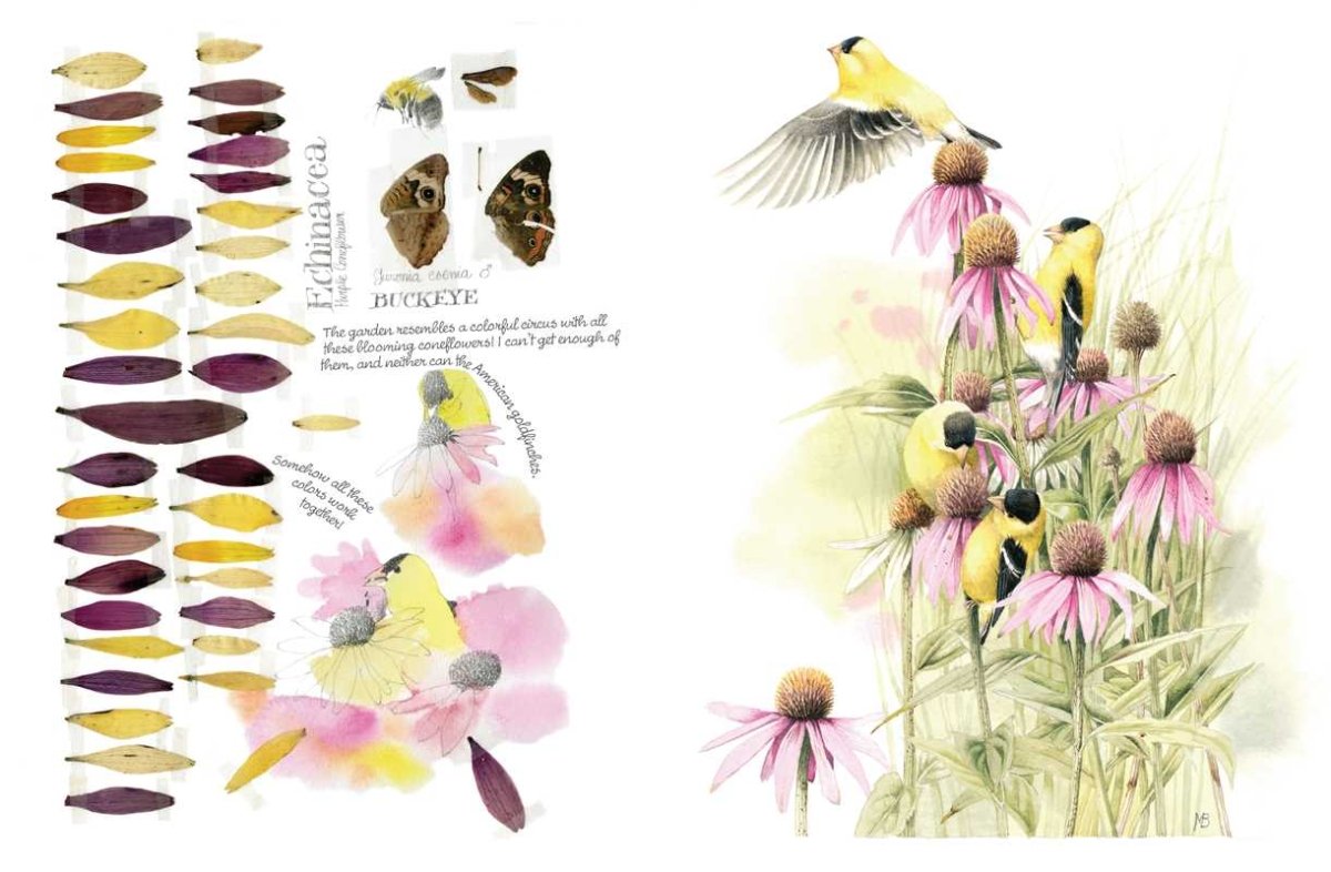 Simon & Schuster - Inspired by Nature Sketchbook by Marjolein Bastin - Paperback; 192 pages / English - The Merri Artist - merriartist.com