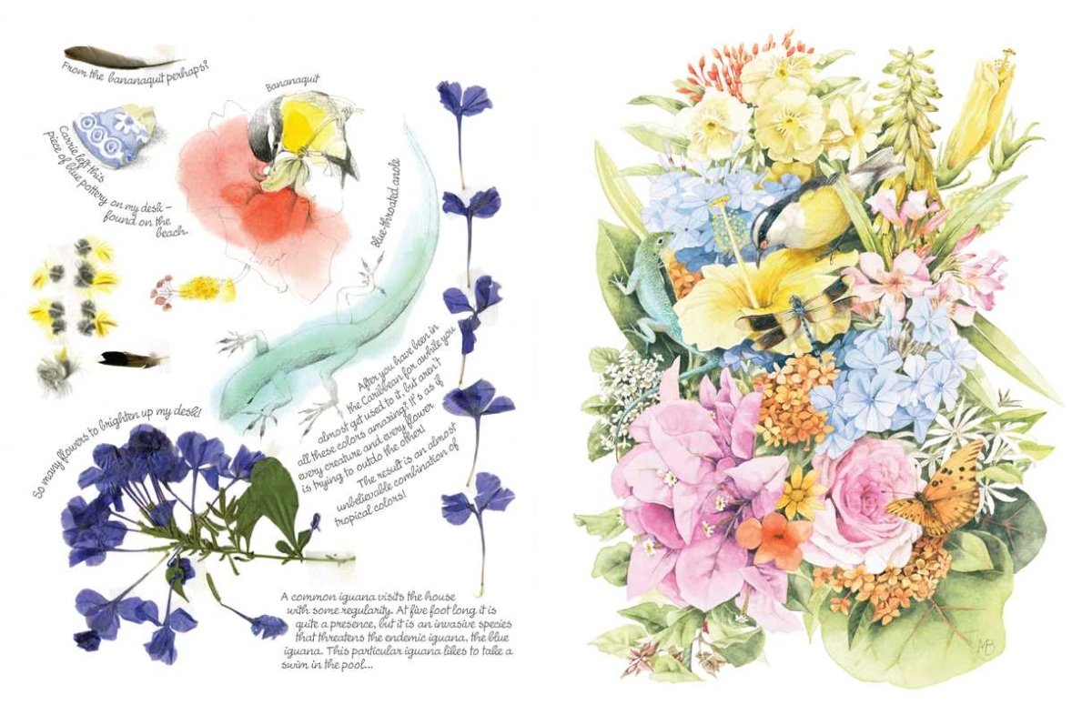 Simon & Schuster - Inspired by Nature Sketchbook by Marjolein Bastin - Paperback; 192 pages / English - The Merri Artist - merriartist.com