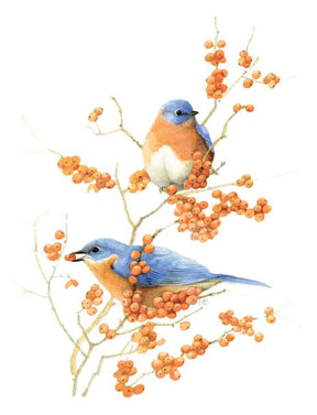 Simon & Schuster - Inspired by Nature Sketchbook by Marjolein Bastin - Paperback; 192 pages / English - The Merri Artist - merriartist.com