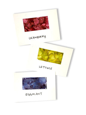 Tim Holtz Alcohol Ink Set of 3 - Farmers Market (Cranberry, Lettuce, Eggplant) - The Merri Artist - merriartist.com