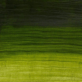 Winsor & Newton Artisan Water Mixable Oil 37ml - Permanent Sap Green - The Merri Artist - merriartist.com