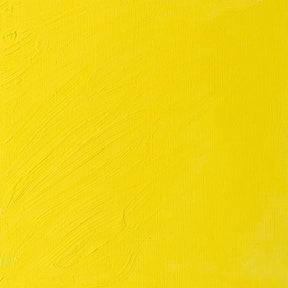 Winsor & Newton Artist Oil Bismuth Yellow 37ml - The Merri Artist - merriartist.com