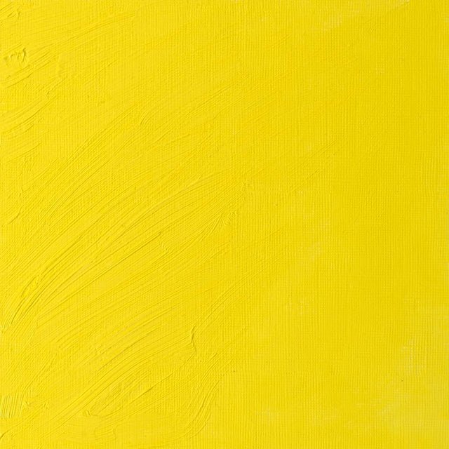 Winsor & Newton Artist Oil Bismuth Yellow 37ml - The Merri Artist - merriartist.com