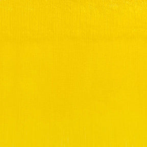 Winsor & Newton Artist Oil Cadmium Free Lemon 37ml - The Merri Artist - merriartist.com