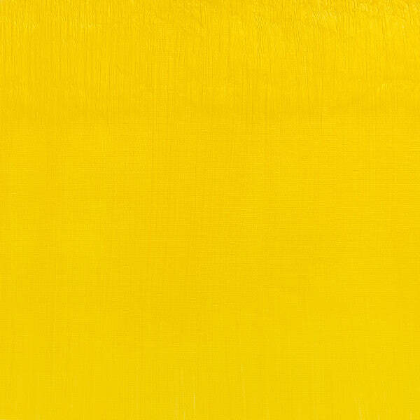 Winsor & Newton Artist Oil Cadmium Free Lemon 37ml - The Merri Artist - merriartist.com