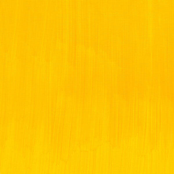 Winsor & Newton Artist Oil Cadmium Free Yellow Pale 37ml - The Merri Artist - merriartist.com
