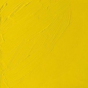 Winsor & Newton Artist Oil Cadmium Lemon 37ml - The Merri Artist - merriartist.com