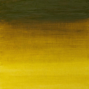 Winsor & Newton Artist Oil Green Gold 37ml - The Merri Artist - merriartist.com