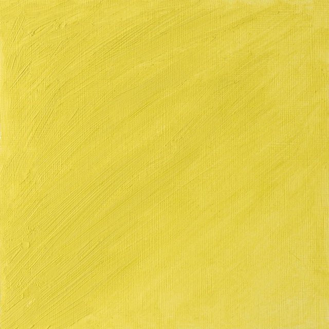 Winsor & Newton Artist Oil Lemon Yellow Hue 37ml - The Merri Artist - merriartist.com