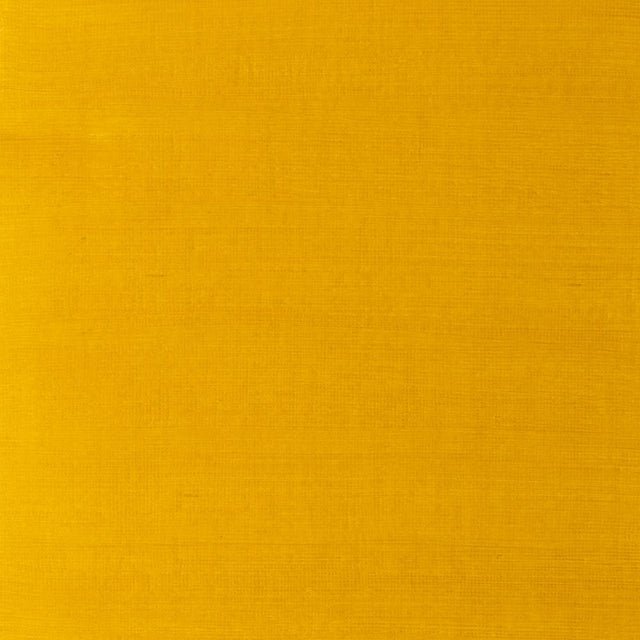 Winsor & Newton Artist Oil Yellow Ochre Light 37ml - The Merri Artist - merriartist.com