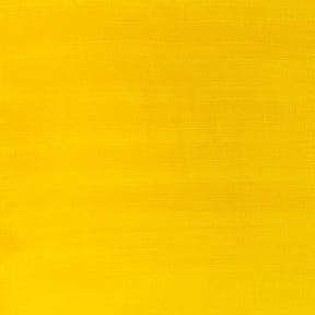 Winsor & Newton Galeria Acrylic Cadmium Yellow Medium Hue 60 ml - The Merri Artist - merriartist.com