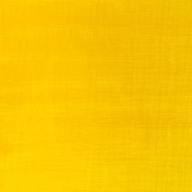 Winsor & Newton Galeria Acrylic Cadmium Yellow Medium Hue 60 ml - The Merri Artist - merriartist.com