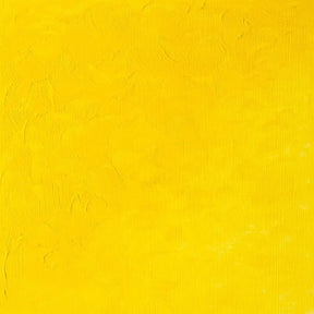 Winsor & Newton Griffin Alkyd 37ml Cadmium Yellow Light Hue - The Merri Artist - merriartist.com