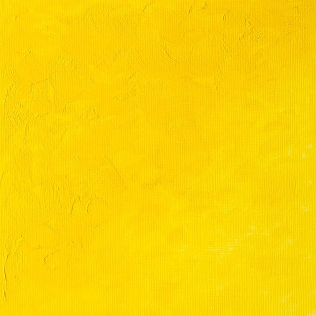 Winsor & Newton Griffin Alkyd 37ml Cadmium Yellow Light Hue - The Merri Artist - merriartist.com