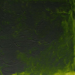 Winsor & Newton Griffin Alkyd 37ml Permanent Sap Green - The Merri Artist - merriartist.com