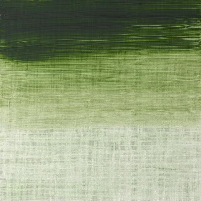 Winsor & Newton Griffin Alkyd 37ml Terre Verte - The Merri Artist - merriartist.com