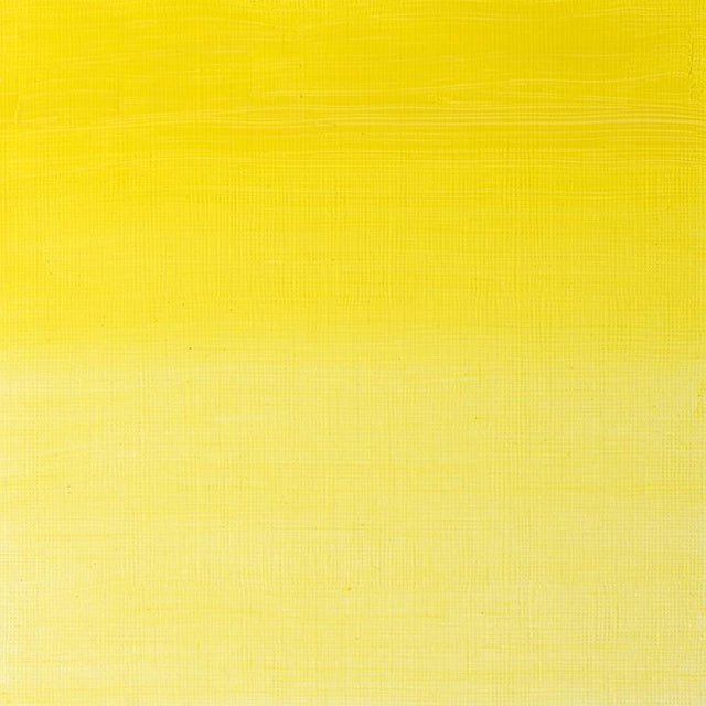 Winsor & Newton Griffin Alkyd 37ml Winsor Lemon - The Merri Artist - merriartist.com