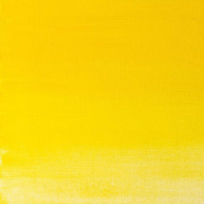 Winsor & Newton Griffin Alkyd 37ml Winsor Yellow - The Merri Artist - merriartist.com