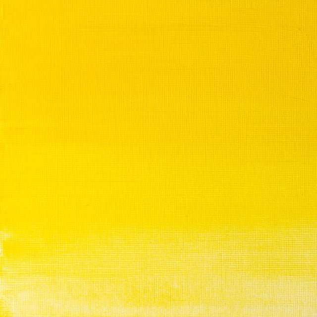 Winsor & Newton Griffin Alkyd 37ml Winsor Yellow - The Merri Artist - merriartist.com