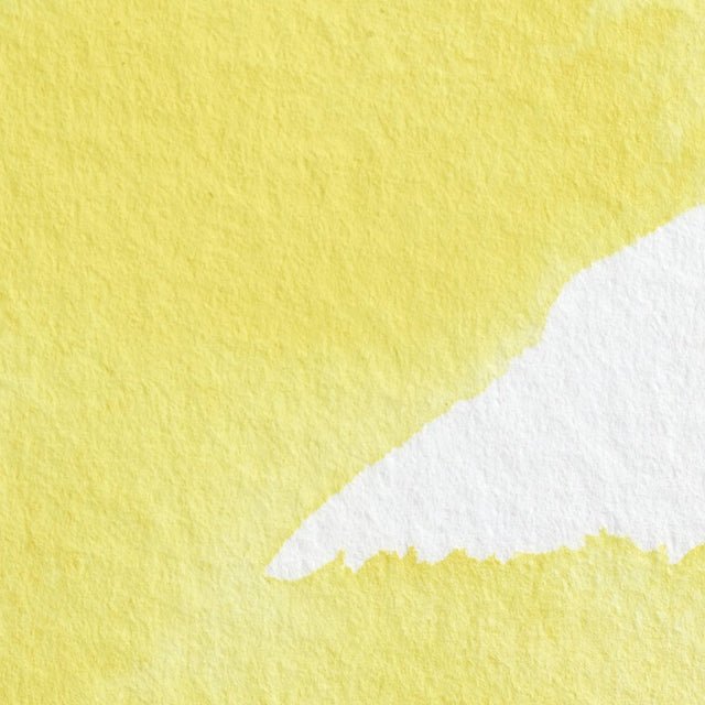 Winsor & Newton Professional Watercolor Bismuth Yellow 14ml - The Merri Artist - merriartist.com