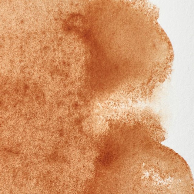 Winsor & Newton Professional Watercolor Brown Ochre 14ml - The Merri Artist - merriartist.com