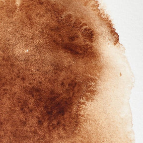 Winsor & Newton Professional Watercolor Burnt Umber 37ml - The Merri Artist - merriartist.com