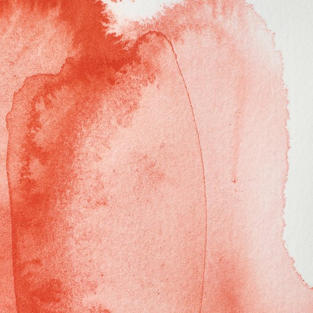 Winsor & Newton Professional Watercolor Cadmium Scarlet 14ml - The Merri Artist - merriartist.com