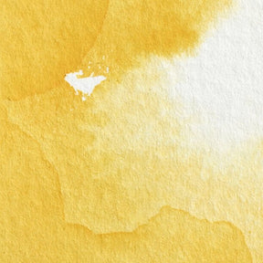 Winsor & Newton Professional Watercolor Cadmium Yellow 14ml - The Merri Artist - merriartist.com