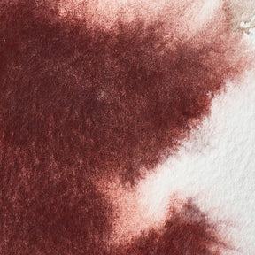 Winsor & Newton Professional Watercolor Caput Mortum Violet 14ml - The Merri Artist - merriartist.com