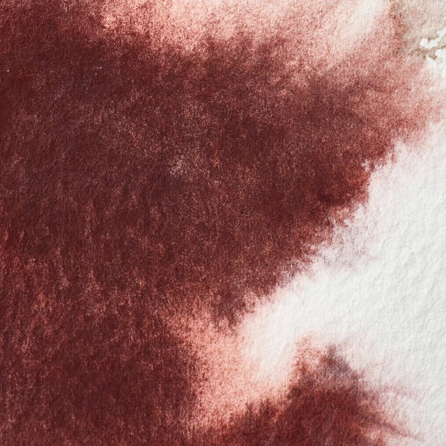 Winsor & Newton Professional Watercolor Caput Mortum Violet 14ml - The Merri Artist - merriartist.com